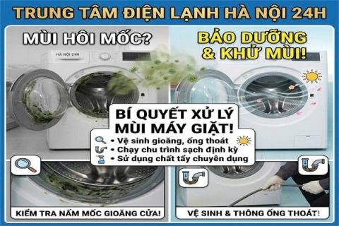 Máy giặt có mùi hôi là do đâu? Cách xử lý hiệu quả tại nhà trong 10 Phút